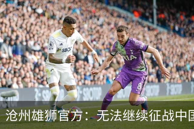 沧州雄狮官方：无法继续征战中国足球职业联赛